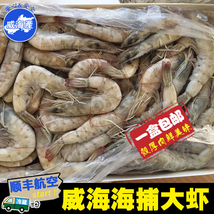 野生新鲜海虾水産海捕斑节虾