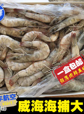 野生新鲜海虾水産海捕斑节虾