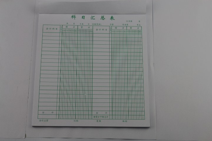 办公用品 青联纸品 财会用品 青联213科目汇总表20开 210*190