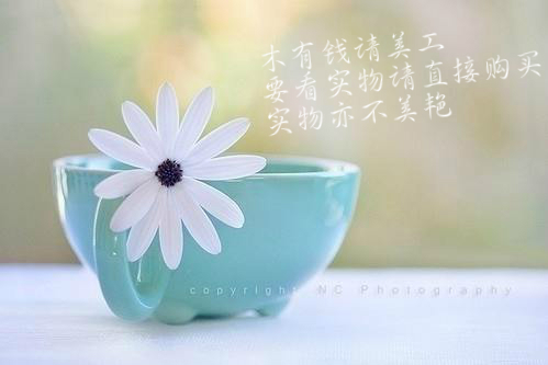紫苏油神经酰胺舒缓修复min肌角质屏障呵护锁水保湿乳液