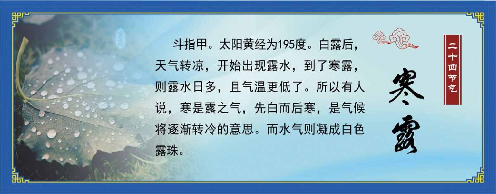761海报印制展板写真喷绘466二十四24节气介绍寒露