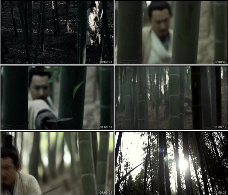 中国古人文人墨客竹林舞剑竹叶落在竹简上文学高清实拍视频素材