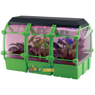 我的小绿屋 幼儿园儿童科学探索实验室 科普探究试验教具植物盒