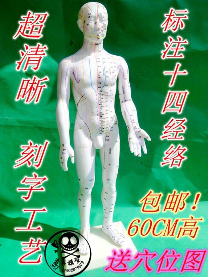 超清晰经络包邮人体穴位模型针灸木偶/关节木偶