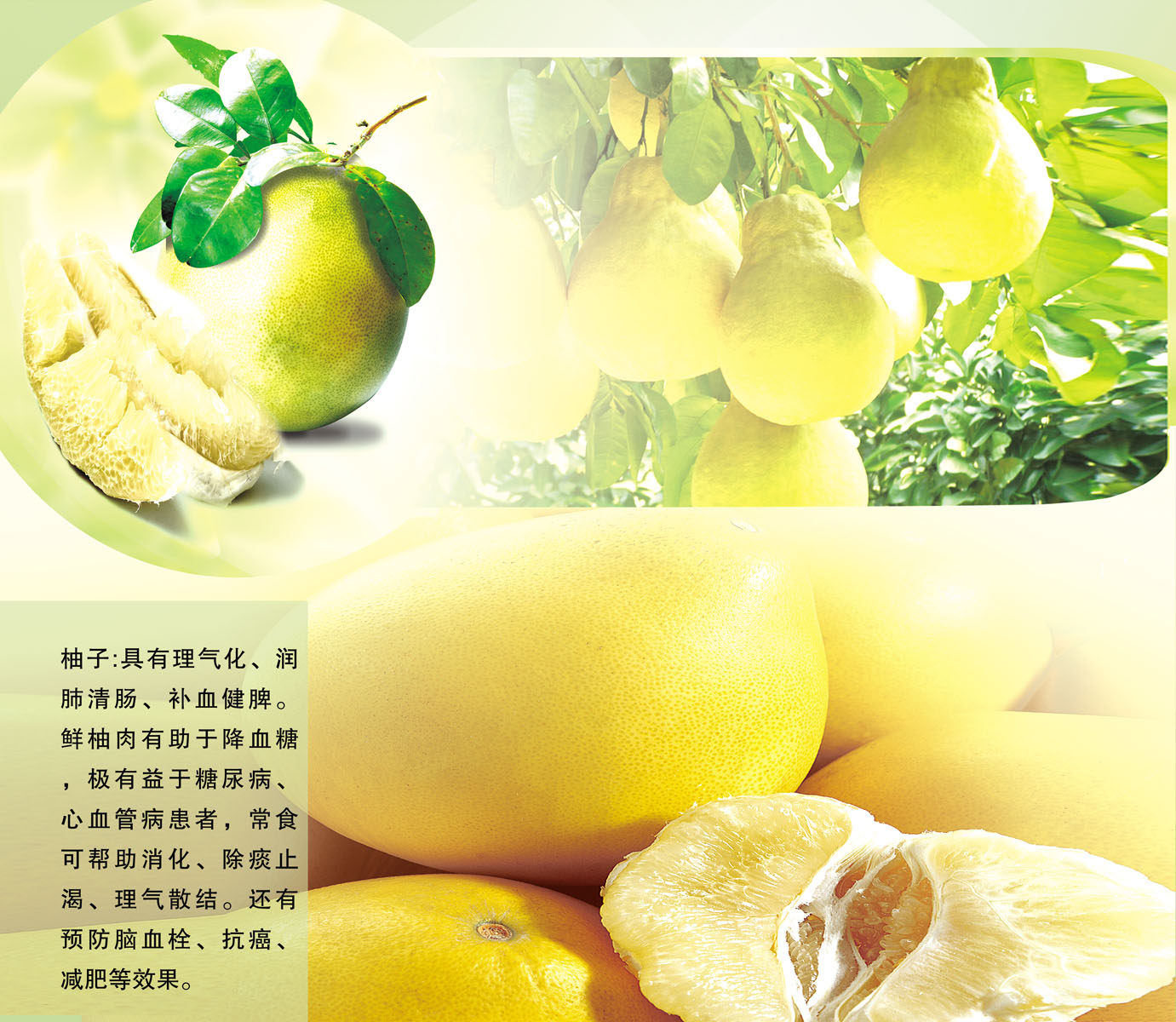 744海报印制展板写真喷绘贴纸351水果店食用柚子好处的宣传海报