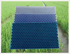 稻谷育苗盘 育秧盘 盘秧盘 穴盘 免插秧盘YE0mzyRIOr