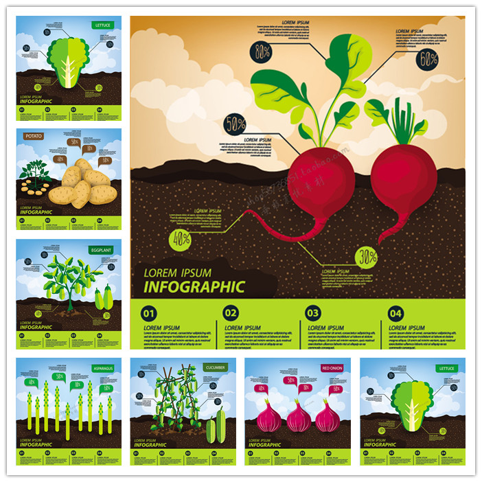 A1837矢量扁平化信息图蔬菜图案萝卜洋葱红薯白菜茄子 AI设计素材