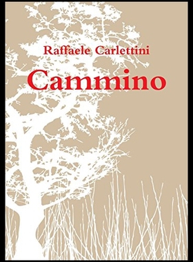 【预售】Cammino