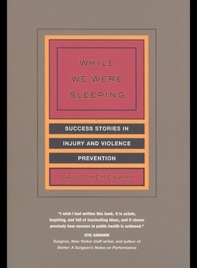 【预售】While We Were Sleeping: Success Stories in Inju