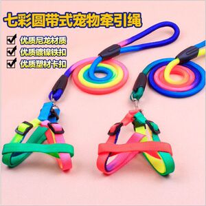 包邮宠物狗狗牵引绳中小型犬萨摩耶比熊贵宾泰迪七彩胸背带狗链子