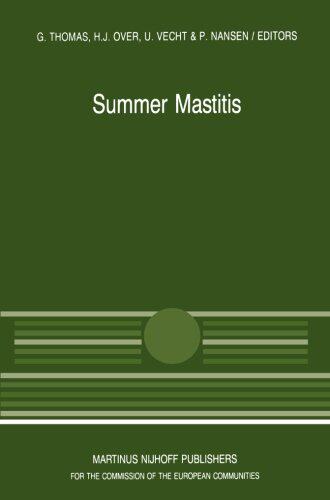【预订】Summer Mastitis