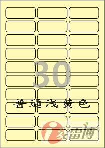 A4/不干胶/标签纸/普通打印机打印/爱雷博浅黄色标签CL530Y-100张