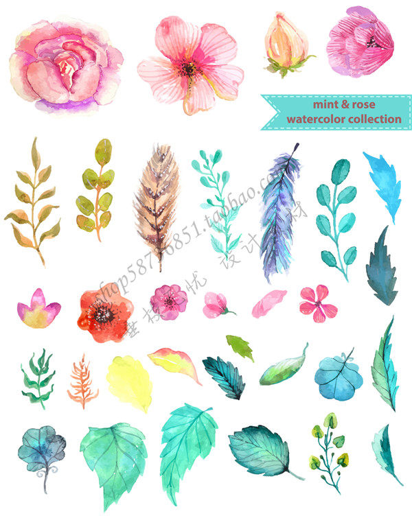 a1200矢量唯美水彩花朵树叶图案薄荷玫瑰 ai设计素材