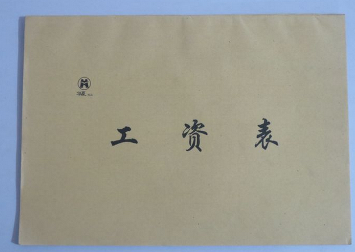 工资发放表 横式工资表 工薪表工资单16K报表单