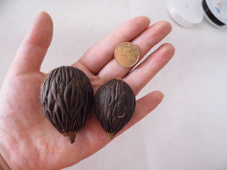 纯天然 千丝菩提子原籽 一手货源 大量千丝菩提配对图片