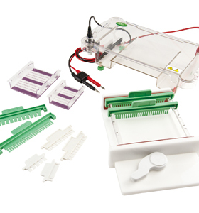 君意东方模具水平电泳槽JY-SPFT核酸分析纯化及制备130*130和配件