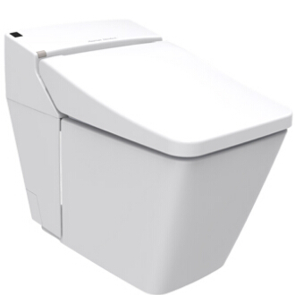 美标阿卡西亚智能座厕