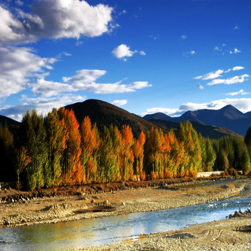 南宁往返成都稻城亚丁牛奶海红草地杨树林海子山5天4晚自由行