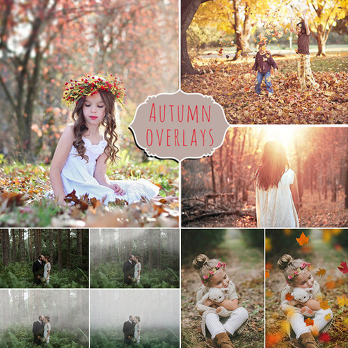 秋季枫叶落叶迷雾阳光乌云下雨写真摄影后期特效PNG JPG图片素材