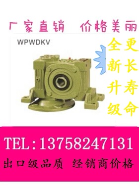 WPWDKV蜗轮蜗杆减速机WP减速器输入法兰在下方通孔输出特殊机型号