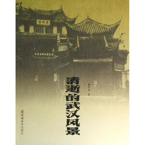 消逝的武汉风景/消逝的风景丛书 正版书籍 木垛图书