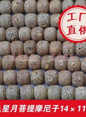 星月菩提摩尼子14mm珠子 原色干磨未漂白喇叭孔正月桶珠单颗108颗