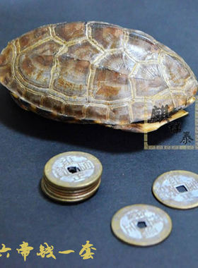 麒祥泰天然真把手五六乌龟壳