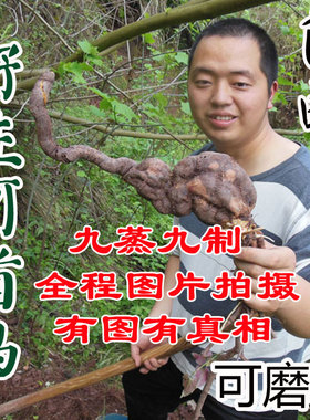 九蒸九制正品野生制何首乌片粉 何首乌片 洗发可磨粉500克 包邮