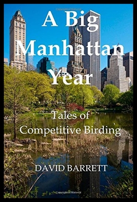 【预售】A Big Manhattan Year: Tales of Competi