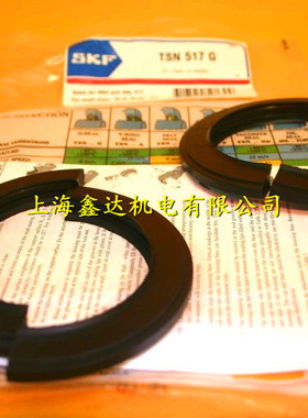 瑞典SKF进口密封件 TSN509G TSN510G TSN511G TSN512G TSN513G