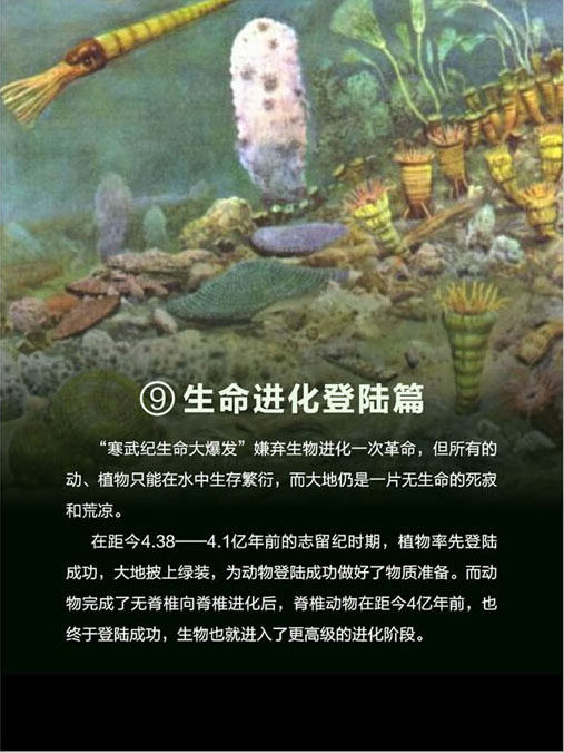 730海报印制展板写真喷绘891生物科普知识宣传挂画生命进化登陆篇