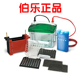 。bio-rad伯乐小型电泳转印槽Mini Trans-Blot TransferCell17039
