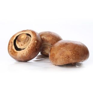 新鲜牛排骨 大褐菇 大牛排菇 波多黎各菌 500g 7cm左右