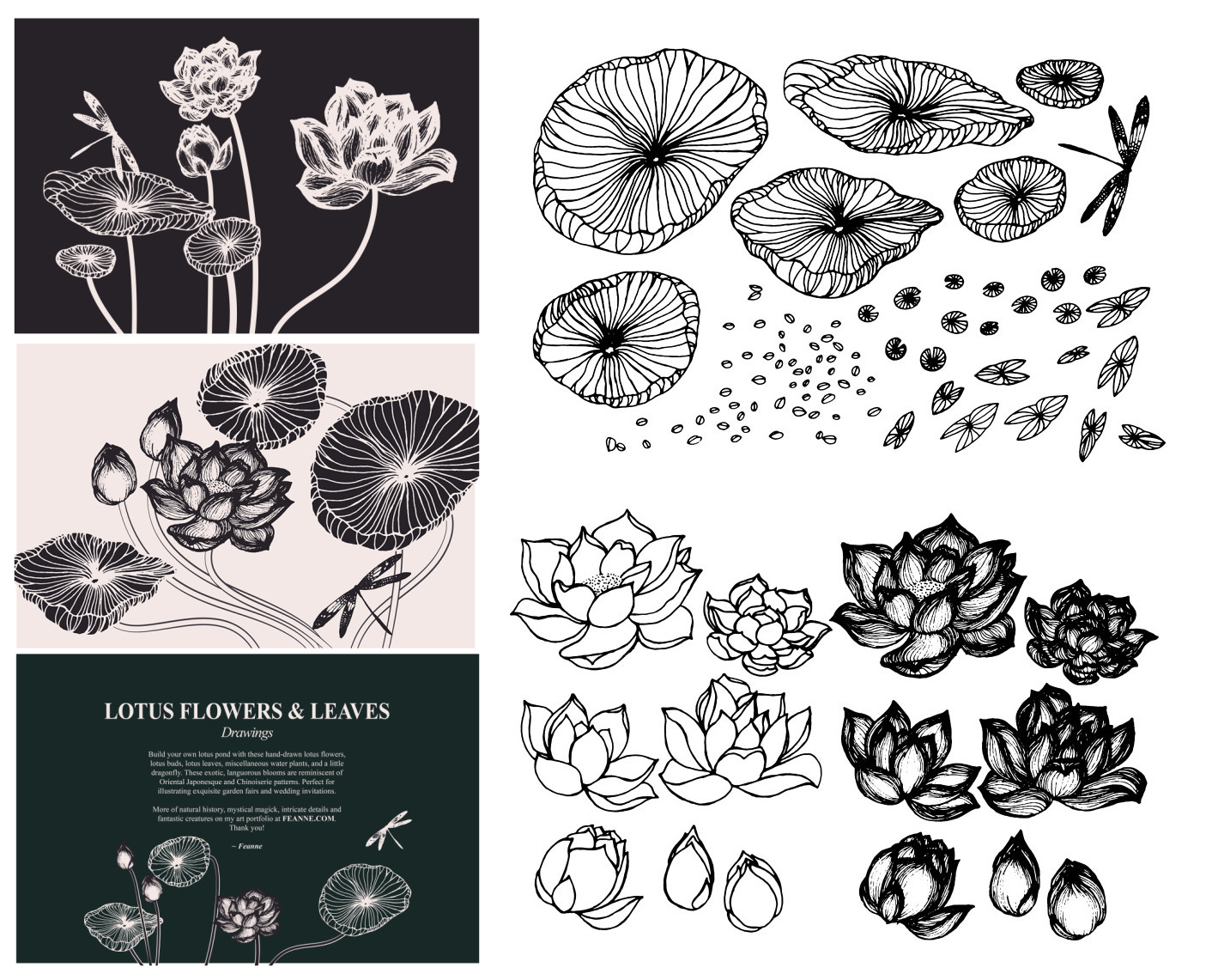 矢量设计素材 唯美莲花荷叶荷花图案线稿背景卡片模板 EPS格式