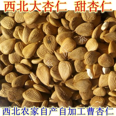 甘肃土特产庆阳杏仁500g