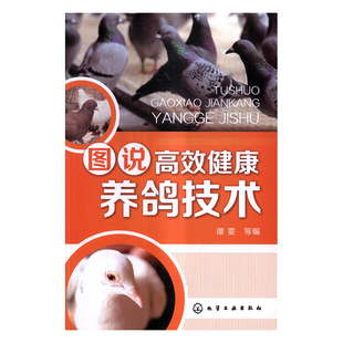 畜牧養(yǎng)殖 圖說 書籍 社 化學(xué)工業(yè)出版 效健康養(yǎng)鴿技術(shù) 譚雯等