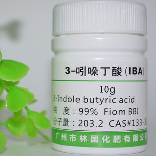 吲哚生根剂99%扦插生根粉剂组培植物生长调节剂吲哚丁酸生根月季