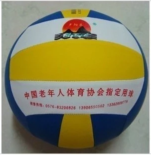Ballon de volley-ball - Ref 2012648 Image 1