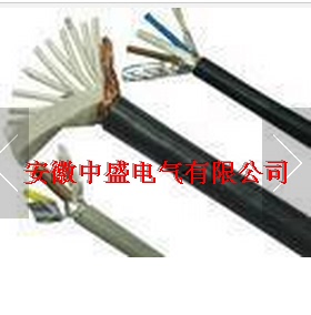 厂家直销 安徽天长电缆 WDZBN-KYJYP 2*0.5