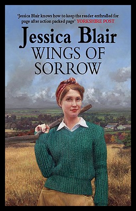 美国库房发货，通常付款后5-8周到货！