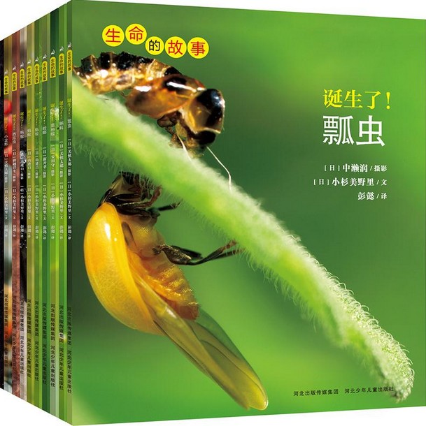 正版  生命的故事（全10册）	河北少年儿童 诞生了！菜粉蝶+诞生了！蝌蚪+诞生了！蚂蚁+诞生了！瓢虫