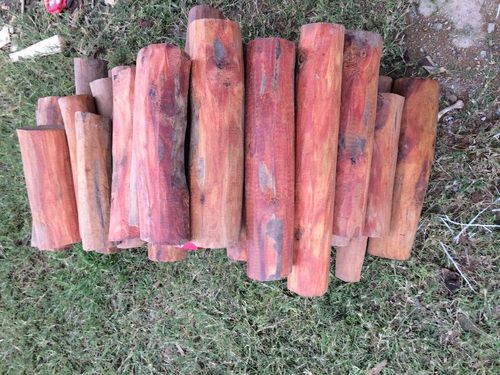 血龙木透光紫檀柳