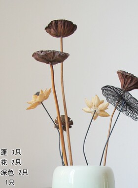 ins自然欧式现代简约软装干花