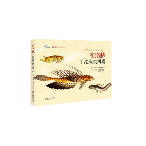 【当当网 正版包邮】布洛赫手绘鱼类图谱   传世手绘名作，收藏级珍品，博物君，亲子手绘良品