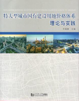 特大型城市国有建设用地价格体系理论与实践 同济大学出版社
