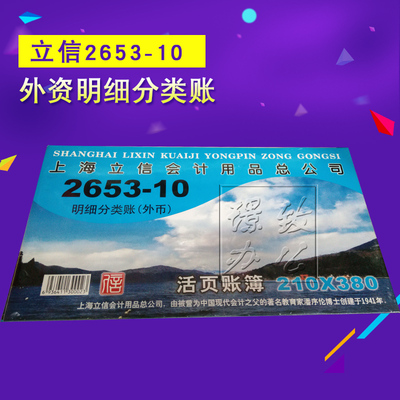 2653-10明细分类账账本外币