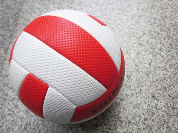 Ballon de volley - Ref 2011166 Image 1