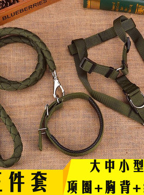 狗链子狗狗牵引绳金毛项圈大型犬