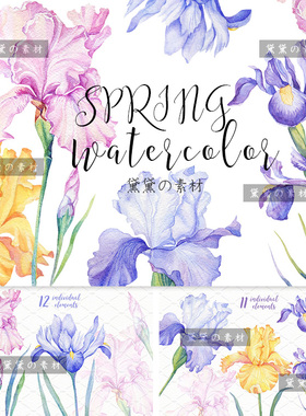 PS手绘水彩现代田园紫色粉色鸢尾花卉PNG免扣图片画心卡片素材