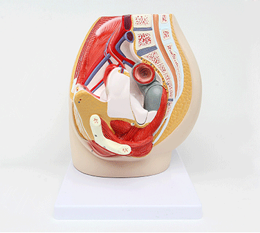 教学仪器 品种齐全 欢迎新老客户前来批发采购